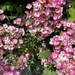 Zeit für sich selbst – auch bei Erfolg