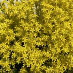 Boutiquehotel Erika in Kitzbühel unter neuer Leitung: Henning Reichel leitet ab sofort das Jugendstil-Juwel