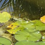 Verzögerungstaktik erfolgreich bekämpfen