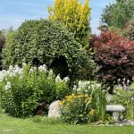 Erfolgsfaktor Menschenkenntnis