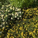 Erfolg duldet kein Aufschieben