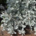 Sich verpflichten führt zum Erfolg