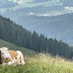 Wanderparadies Brauneck