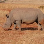 Mit Konzentration und Durchhaltevermögen zum Erfolg