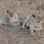 Erfolgreiche Entspannungstechniken