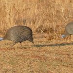 Erfolg braucht Zeit und Geduld