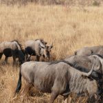 Erfolgreiche Messevorbereitung