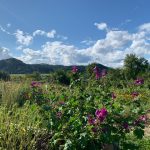 Kärnten, Österreich „Change Your Perspektive” Blog 01