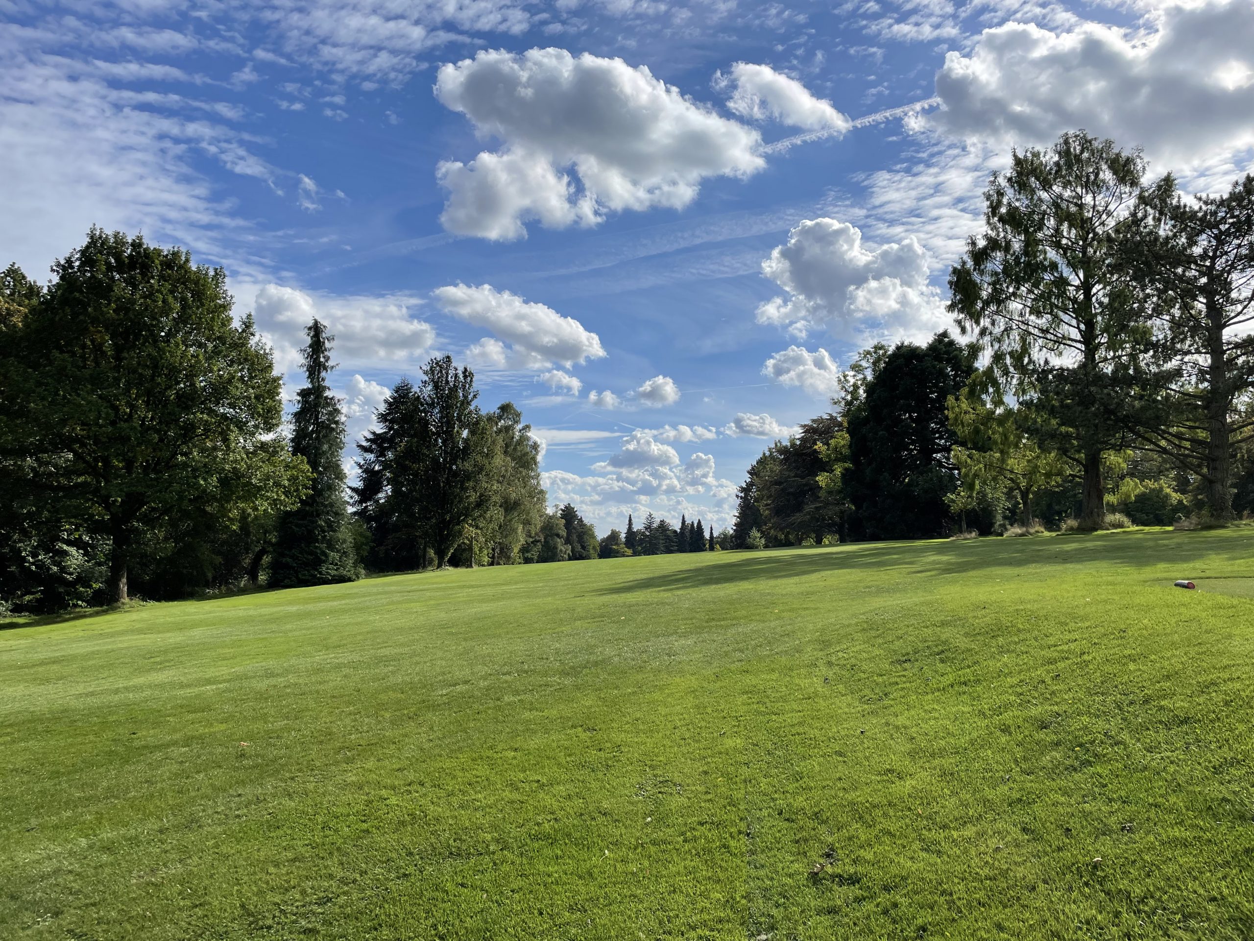 Golf und Kronberg ICJ Ambassador