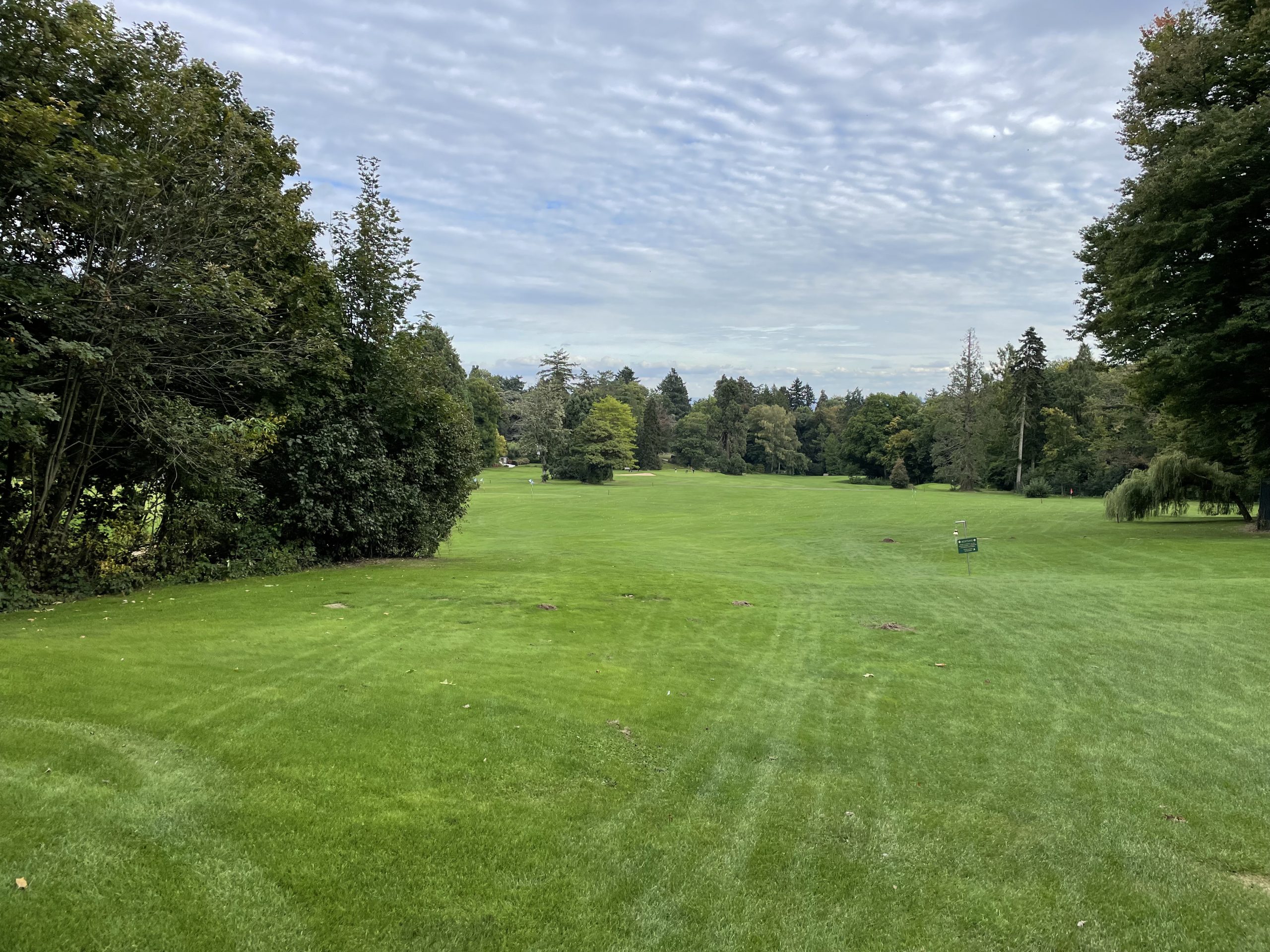 Golf und Kronberg ICJ Ambassador