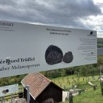 TAUB'ART - auf Trüffelsuche in Franken  Blog 01