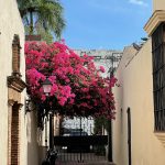 Dominican Expert, Dominikanische Republik, Blog 04