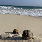 Hard Rock Hotel, Punta Cana, Dominikanische Republik